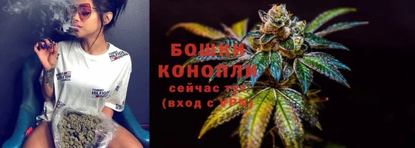 молекула духа Волосово