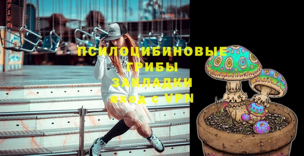 молекула духа Волосово