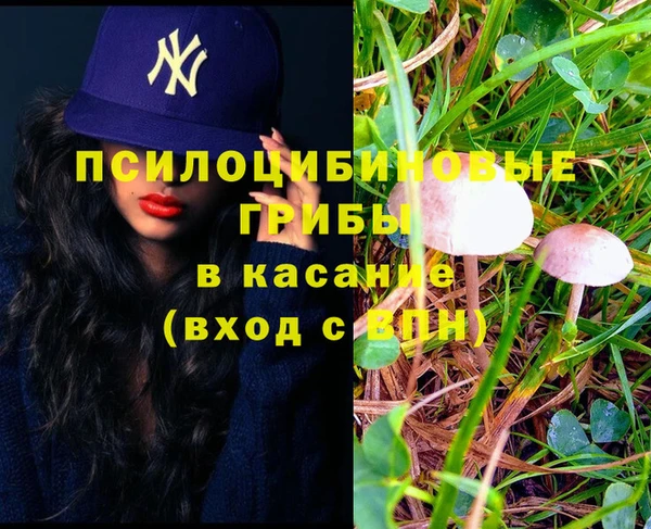 молекула духа Волосово