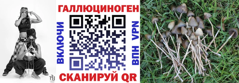наркотики  Жигулёвск  hydra онион  Галлюциногенные грибы Magic Shrooms 